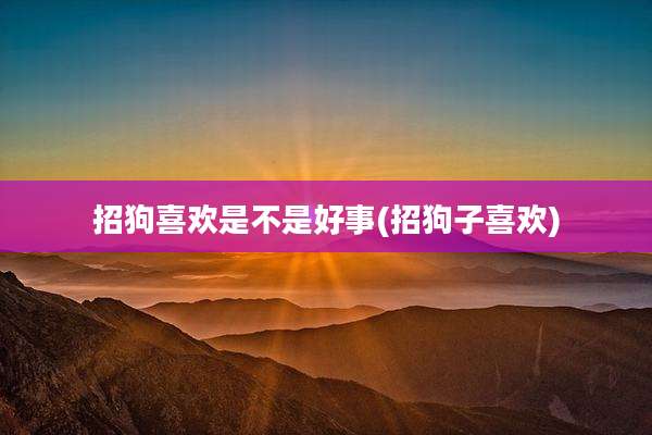 招狗喜欢是不是好事(招狗子喜欢)