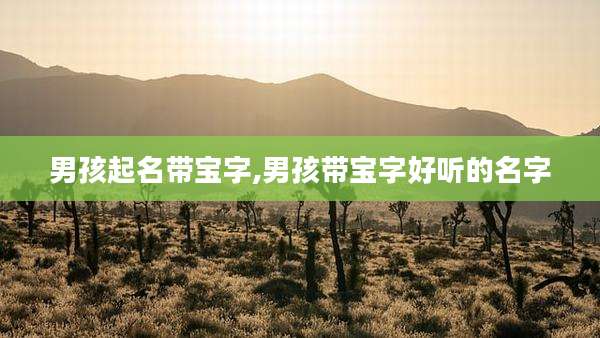 男孩起名带宝字,男孩带宝字好听的名字