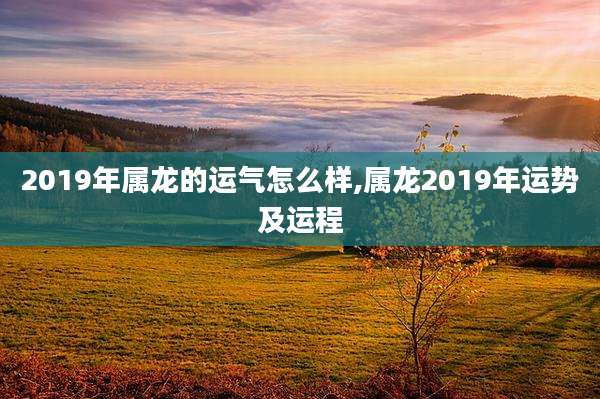 2019年属龙的运气怎么样,属龙2019年运势及运程