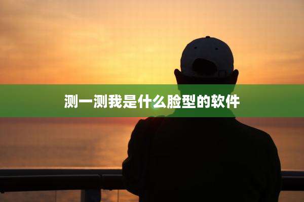 测一测我是什么脸型的软件