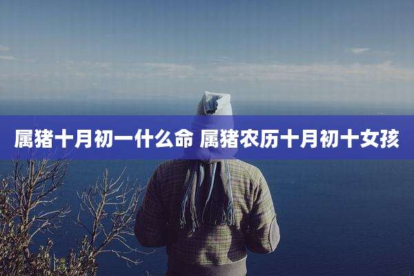 属猪十月初一什么命 属猪农历十月初十女孩