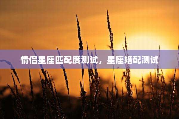 情侣星座匹配度测试，星座婚配测试