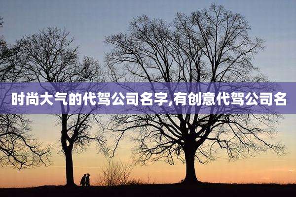 时尚大气的代驾公司名字,有创意代驾公司名