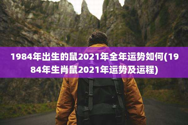 1984年出生的鼠2021年全年运势如何(1984年生肖鼠2021年运势及运程)