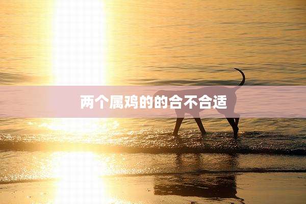 两个属鸡的的合不合适