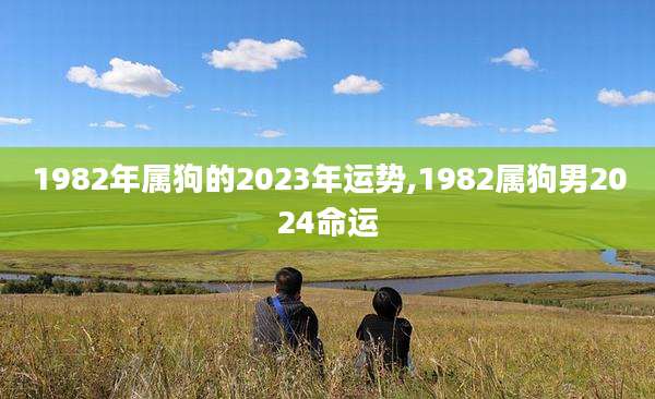 1982年属狗的2023年运势,1982属狗男2024命运