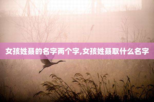 女孩姓聂的名字两个字,女孩姓聂取什么名字