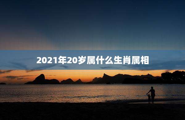 2021年20岁属什么生肖属相