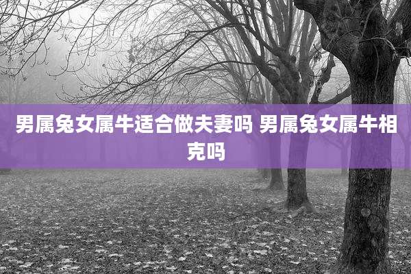 男属兔女属牛适合做夫妻吗 男属兔女属牛相克吗