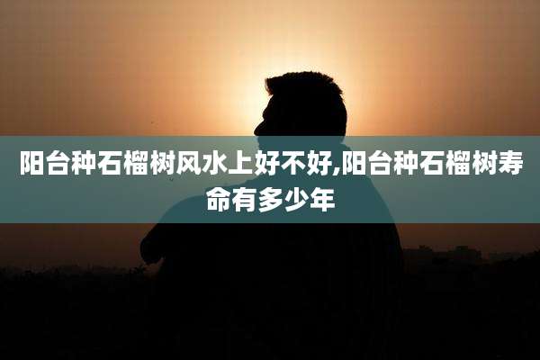 阳台种石榴树风水上好不好,阳台种石榴树寿命有多少年
