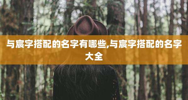 与宸字搭配的名字有哪些,与宸字搭配的名字大全
