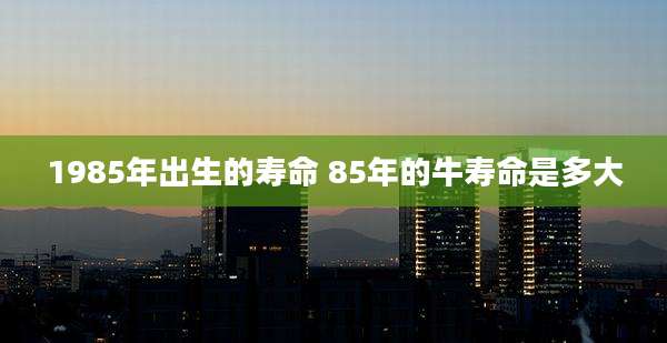 1985年出生的寿命 85年的牛寿命是多大