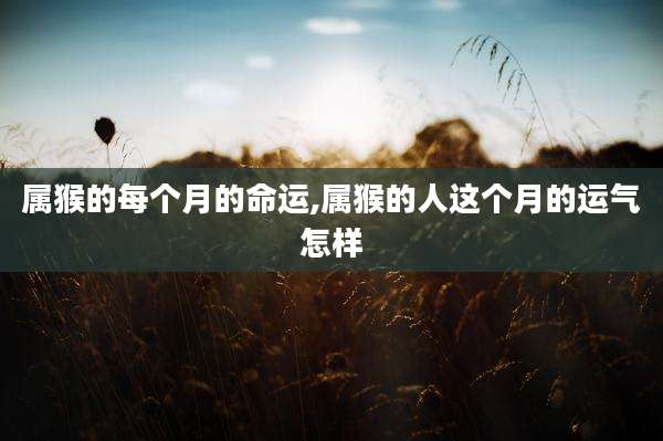 属猴的每个月的命运,属猴的人这个月的运气怎样