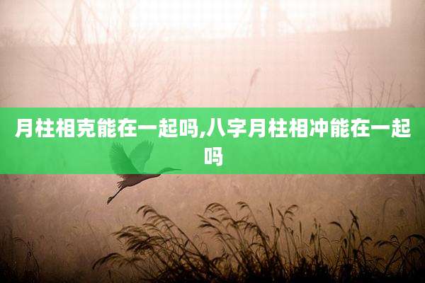 月柱相克能在一起吗,八字月柱相冲能在一起吗