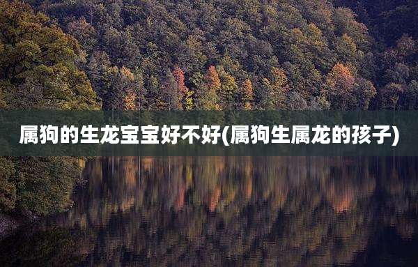 属狗的生龙宝宝好不好(属狗生属龙的孩子)