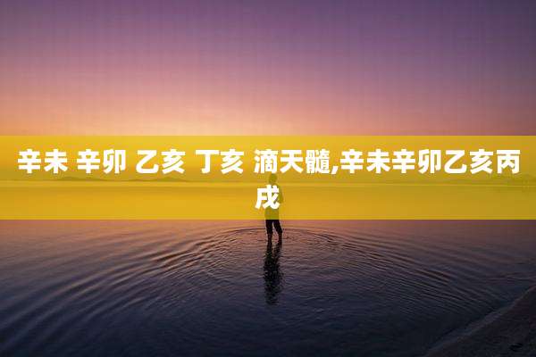 辛未 辛卯 乙亥 丁亥 滴天髓,辛未辛卯乙亥丙戌