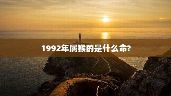 1992年属猴的是什么命?