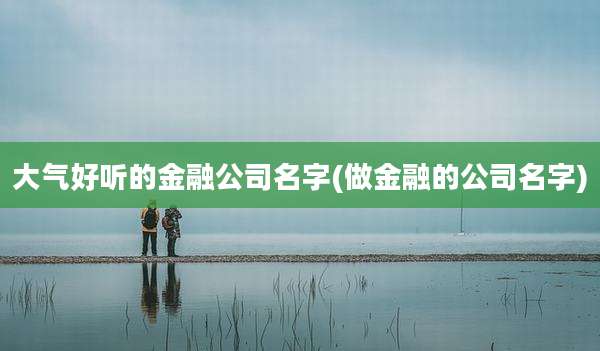 大气好听的金融公司名字(做金融的公司名字)