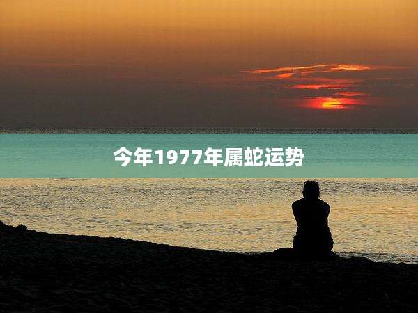 今年1977年属蛇运势