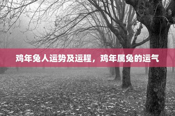 鸡年兔人运势及运程,鸡年属兔的运气