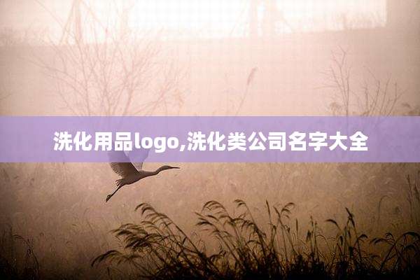 洗化用品logo,洗化类公司名字大全