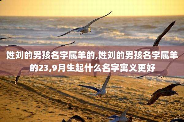 姓刘的男孩名字属羊的,姓刘的男孩名字属羊的23,9月生起什么名字寓义更好