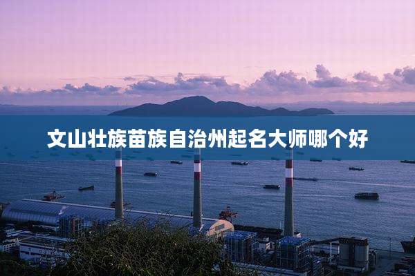文山壮族苗族自治州起名大师哪个好
