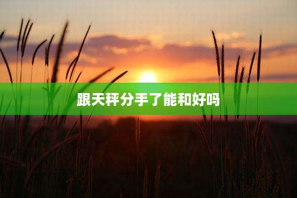 跟天秤分手了能和好吗