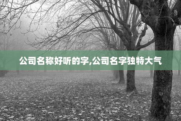 公司名称好听的字,公司名字独特大气