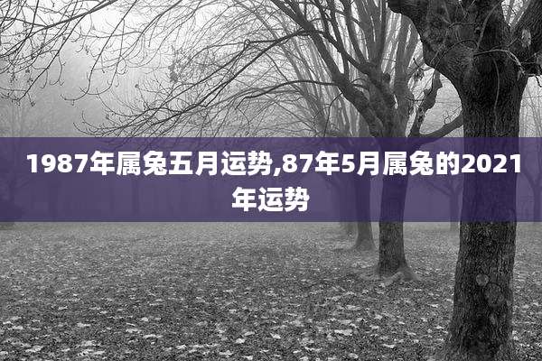 1987年属兔五月运势,87年5月属兔的2021年运势