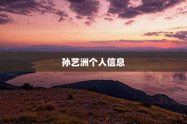 孙艺洲个人信息