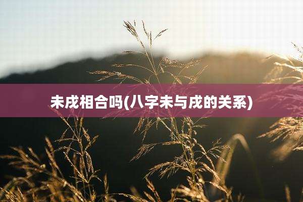 未戌相合吗(八字未与戌的关系)