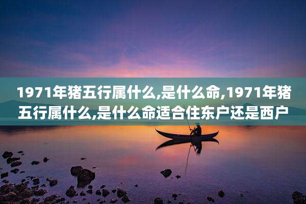 1971年猪五行属什么,是什么命,1971年猪五行属什么,是什么命适合住东户还是西户