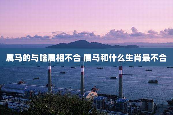 属马的与啥属相不合 属马和什么生肖最不合