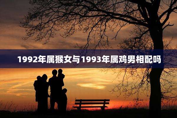 1992年属猴女与1993年属鸡男相配吗
