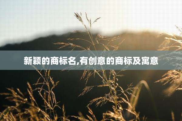 新颖的商标名,有创意的商标及寓意