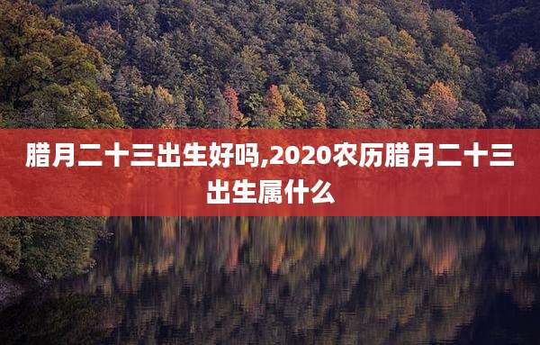 腊月二十三出生好吗,2020农历腊月二十三出生属什么