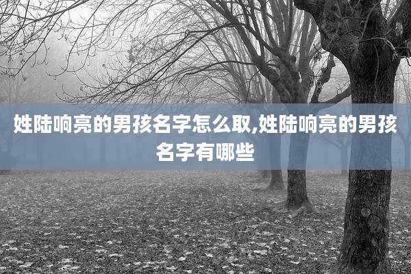 姓陆响亮的男孩名字怎么取,姓陆响亮的男孩名字有哪些