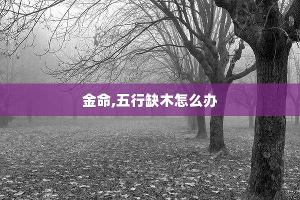 金命,五行缺木怎么办