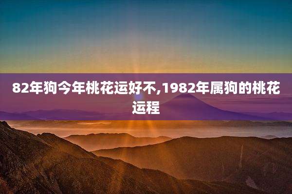 82年狗今年桃花运好不,1982年属狗的桃花运程