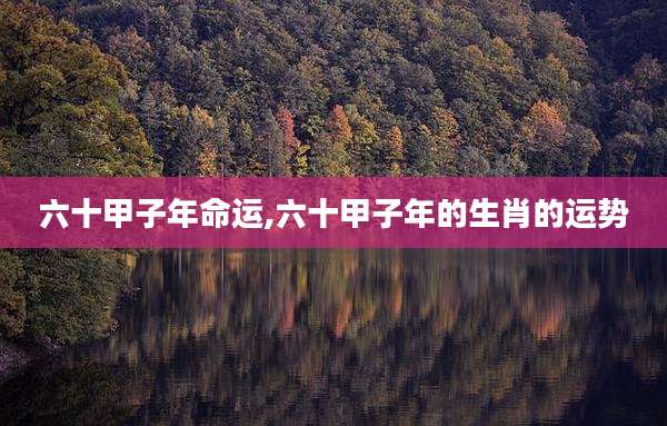 六十甲子年命运,六十甲子年的生肖的运势