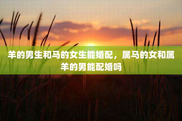 羊的男生和马的女生能婚配,属马的女和属羊的男能配婚吗