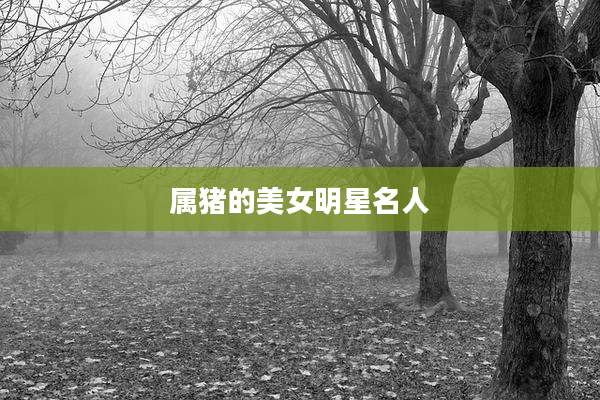 属猪的美女明星名人