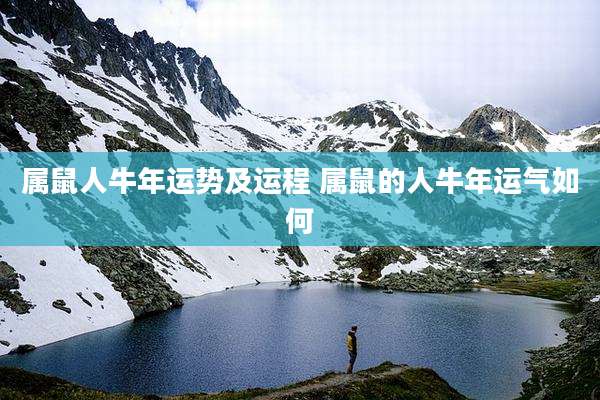 属鼠人牛年运势及运程 属鼠的人牛年运气如何