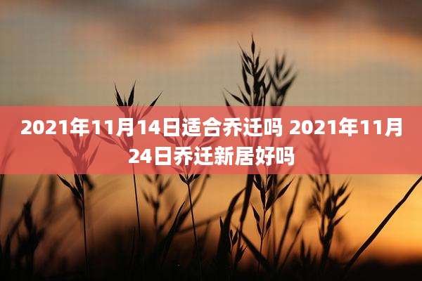 2021年11月14日适合乔迁吗 2021年11月24日乔迁新居好吗