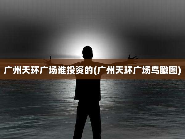 广州天环广场谁投资的(广州天环广场鸟瞰图)