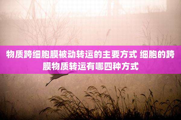 物质跨细胞膜被动转运的主要方式 细胞的跨膜物质转运有哪四种方式