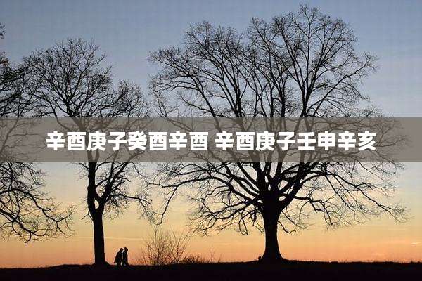 辛酉庚子癸酉辛酉 辛酉庚子壬申辛亥