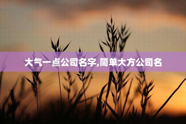 大气一点公司名字,简单大方公司名