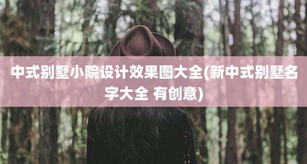 中式别墅小院设计效果图大全(新中式别墅名字大全 有创意)